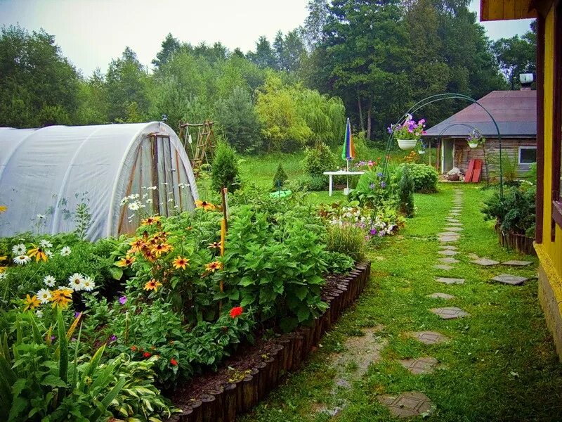 Про дачу. Огород летом. Летом на даче. Дача. Лето. Садовый участок с огородом.