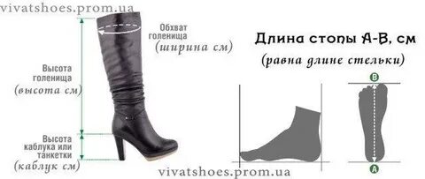 Сапоги полнота голенища