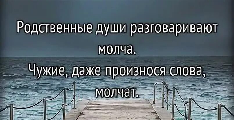 Хотите говорить говорите молча. Родственные души разговаривают молча. Родственные души разговаривают даже молча. Родство души.