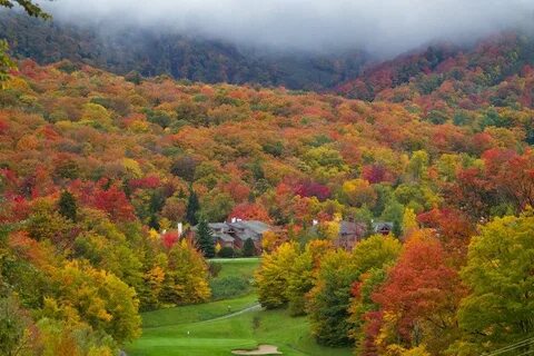 Fall well