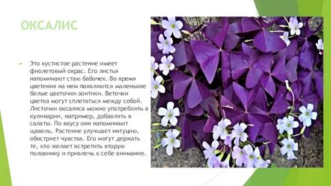 Цветов стало меньше