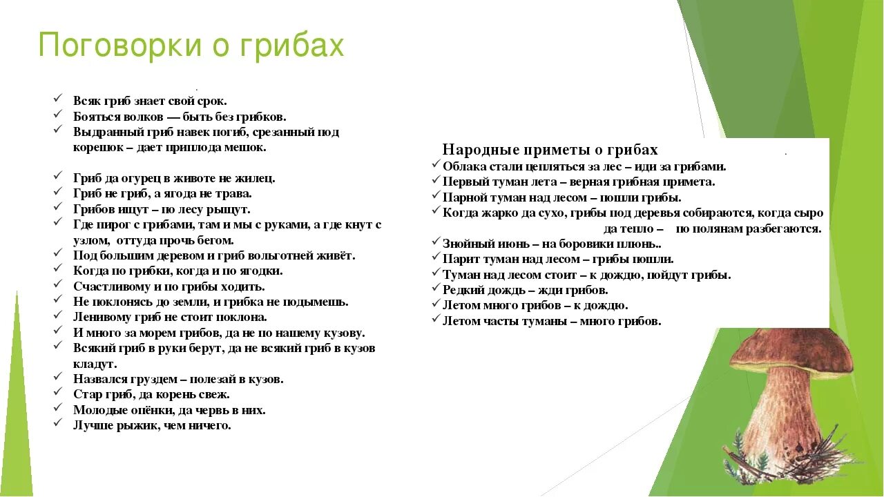 Поговорки о грибах для 5 класса по биологии. Поговорки о грибах 5 класс биология. Пословицы про ядовитые грибы. Поговорки про грибы. Ох грибок ты мой грибочек анализ