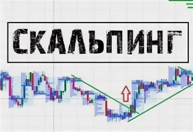 Traderium net отзывы