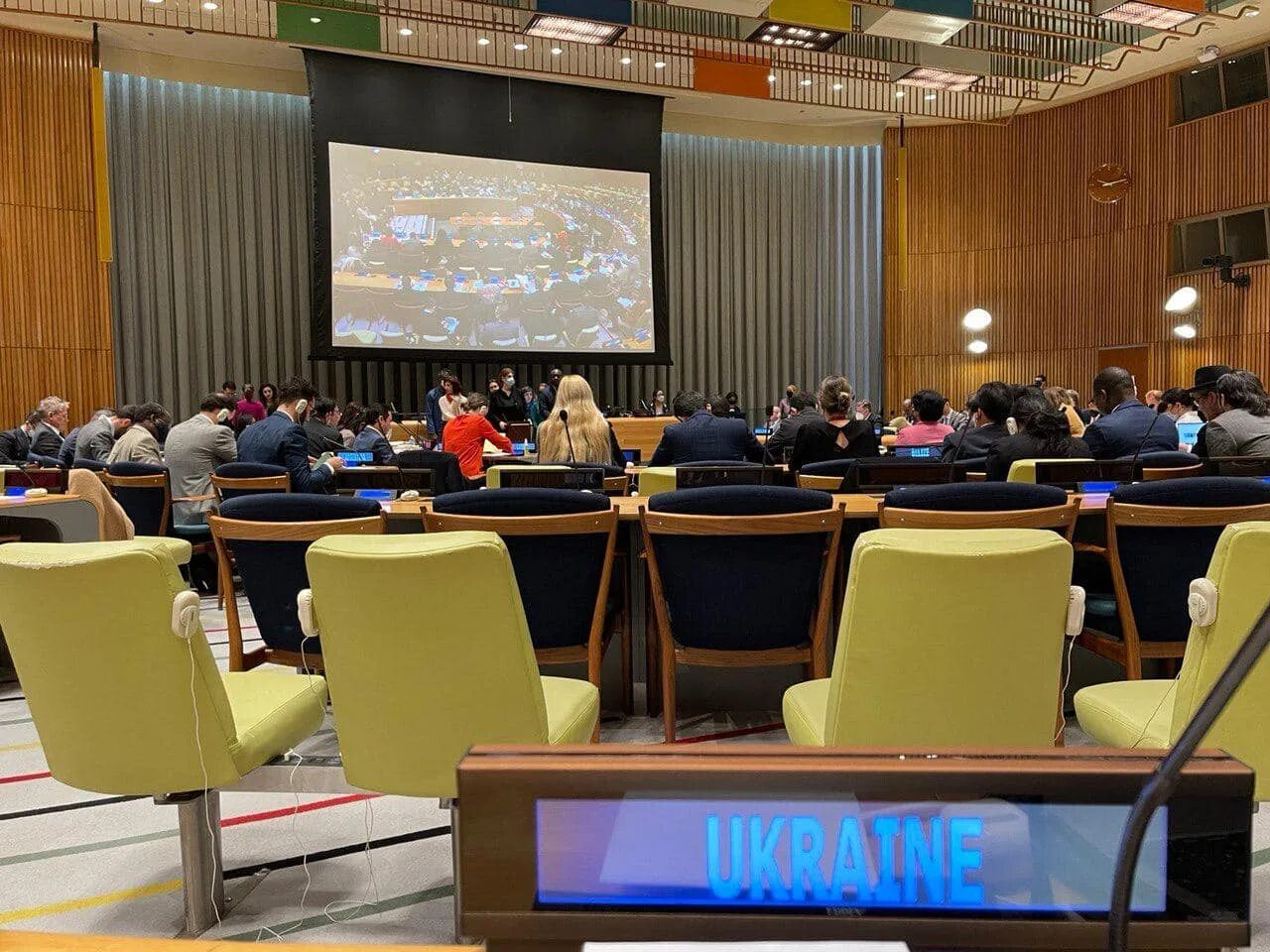 Заявление оон. Голосование в ООН. Голосование ООН по Украине. ООН голосовали Россия Украина. Джапарова Эмине в Совете безопасности ООН.