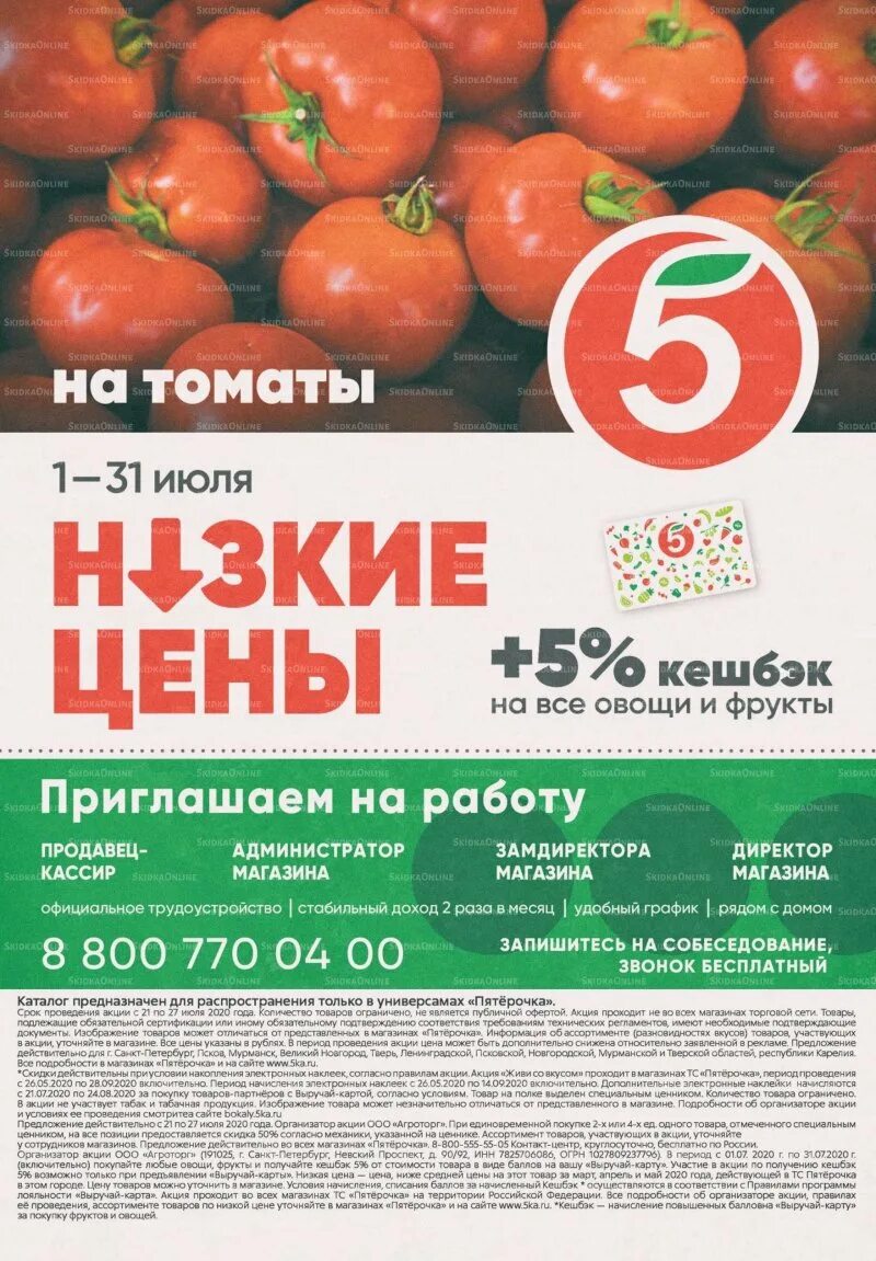 Помидоры в пятерочке. Томаты пятерочка. пятёрочка 21-27 июля 2025. стоимость помидор в пятерочке.