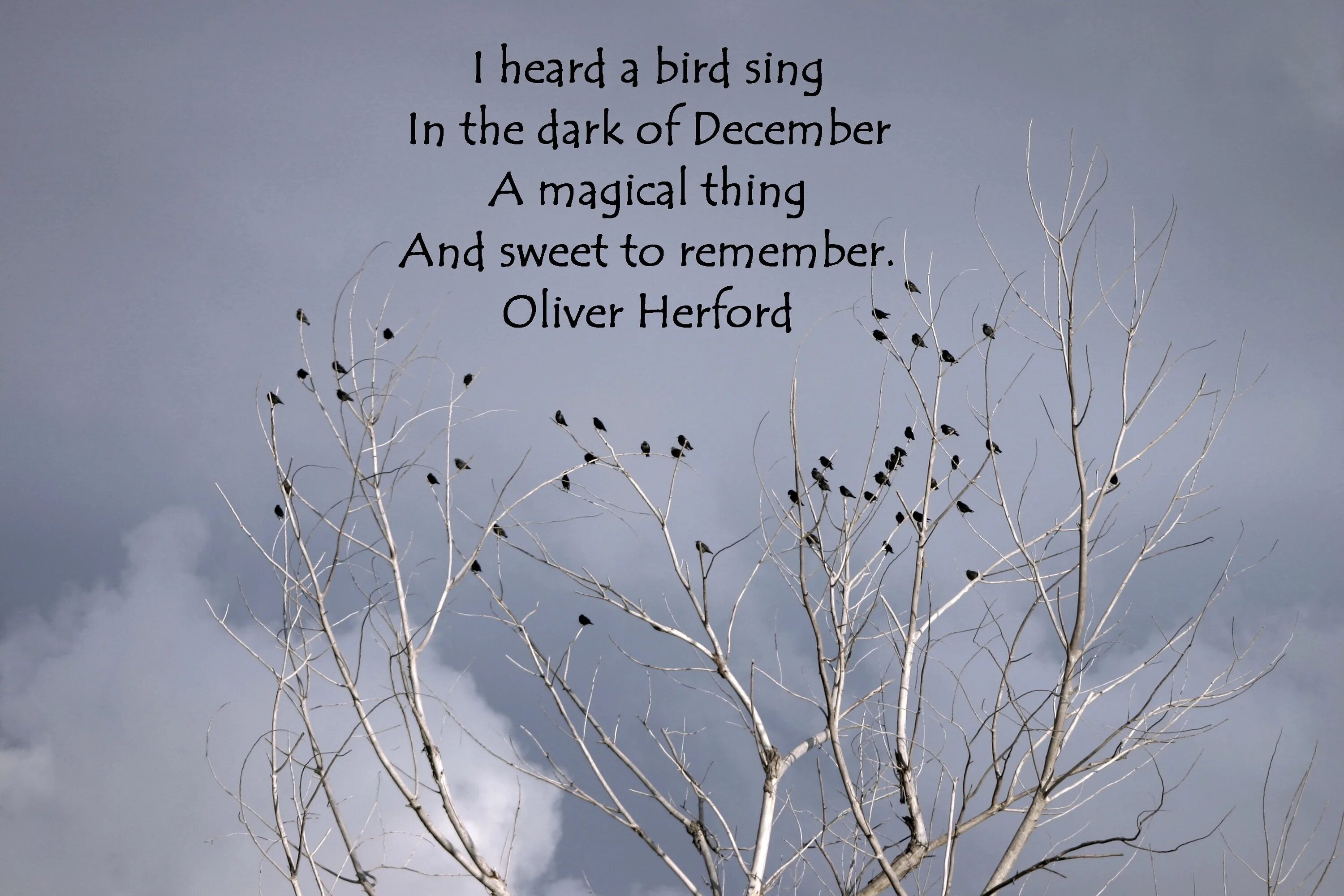 I a bird перевод. December quotes. Bird Sing. The Birds singing in the Garden. I hear Birds.