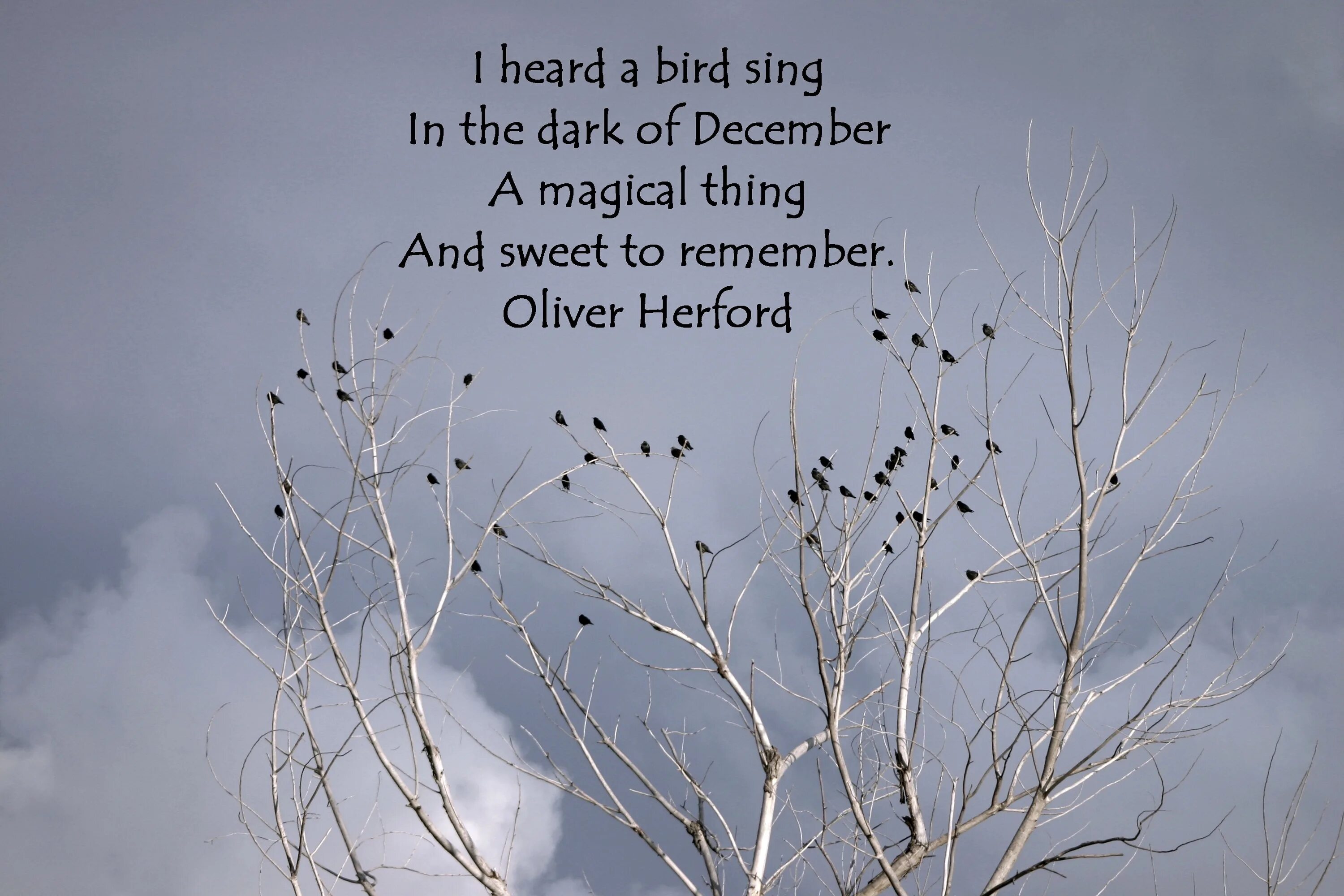 The birds перевод. December quotes. the thing about december. till december quotes. стих little bird.