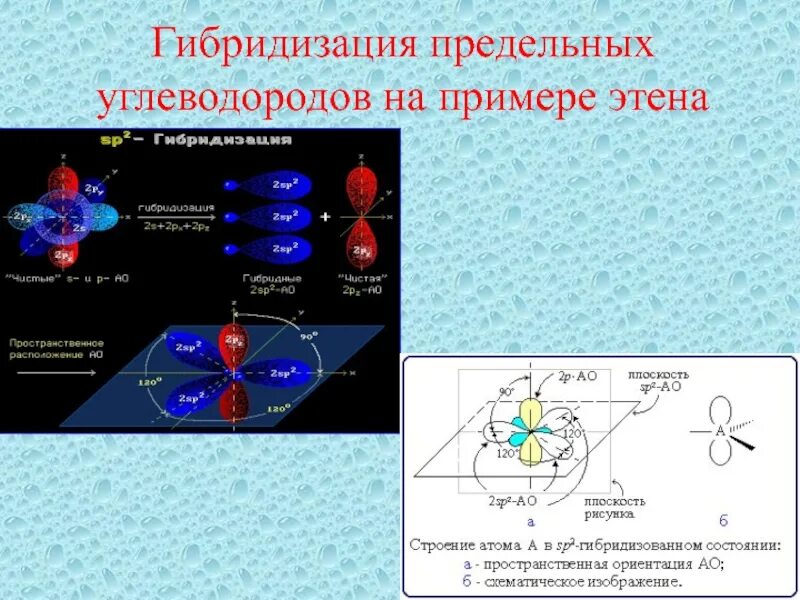 Фенол sp2 гибридизация. Углеводороды с sp2 гибридизацией. Sp3 гибридизация примеры углеводородов. Гибридизация предельных углеводородов. Типы гибридизации углеводородов.