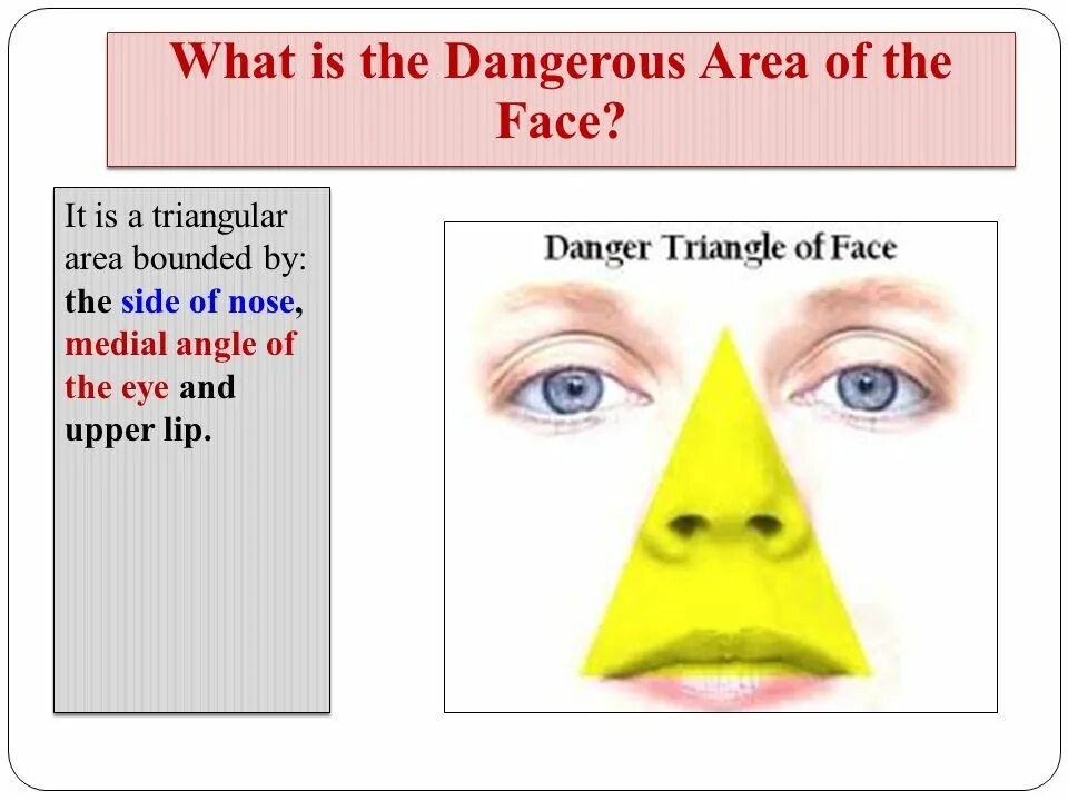 Face презентация. Submural area of the face. Dangerous area