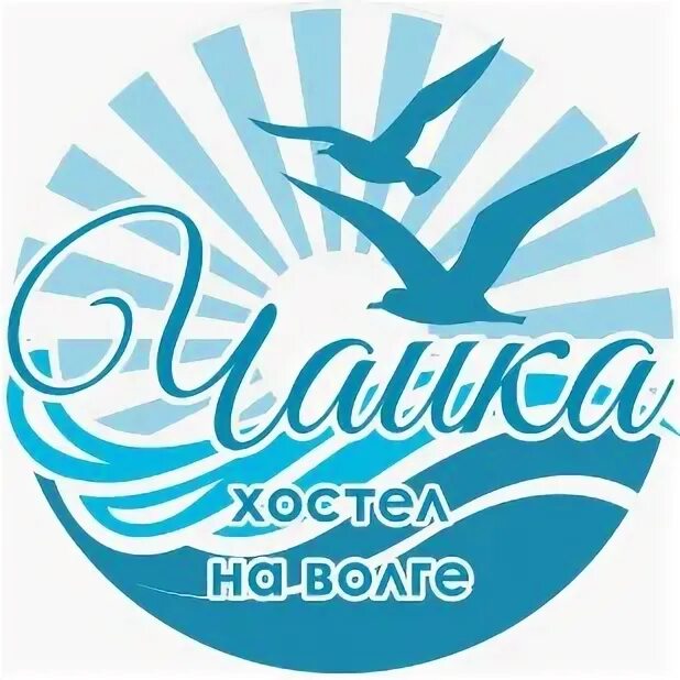 Чайка волго. Чайка хостел. чайка волгоград. иглу чайка волгоград. ресторан чайка волгоград.