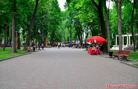 Парк имени толстого
