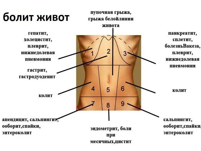 Болит бок в паху у мужчины. Дискомфорт с левой стороны живота. Резь в левой стороне живота. Левый бок снизу болит у женщины. Болит бок справа снизу.