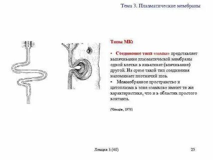 Соединение мембраны