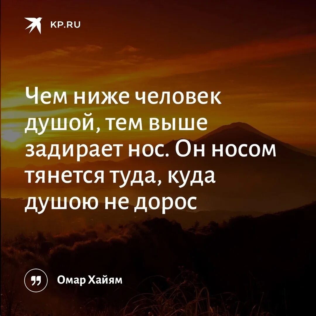 Ниже чем в других местах. Чем ниже человек душой. Носом тянется туда куда душою. Цитаты чем ниже человек душой тем выше. Чем ниже человек душой тем выше задирает нос.