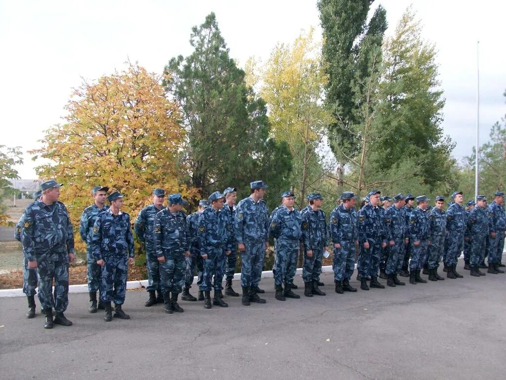 ИК 19 Волгоград ФСИН. ФКУ ИК 19 Суровикино. ФКУ ИК 9 УФСИН России. ФКУ ИК-2 ФСИН России. 145 лет уфсин россии