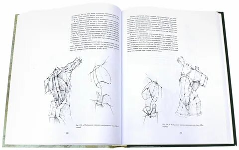 Основы академического рисунка ли pdf