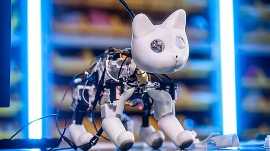 3 кота про робота. Робокот MARSCAT. Робот «котёнок». Роботизированный кот. Робот кот Robotic Cat.