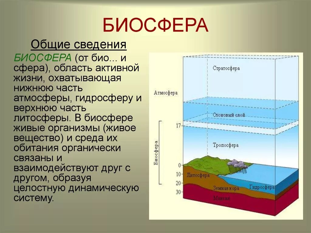 Биосфера россии