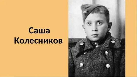 Вася полка