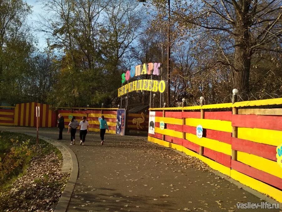 Зоопарк Берендеево Пятигорск. Парк Кирова Пятигорск аттракционы. Парк им Кирова Пятигорск. Пятигорск зоопарк в парке Кирова. Зоопарк берендеево