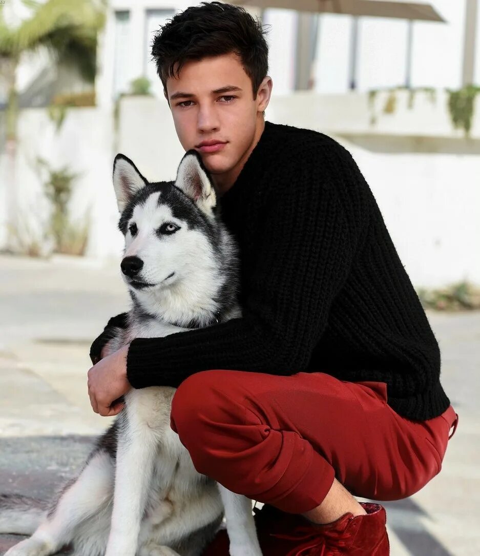 Аляскинский маламут злые собаки?. Лайки парням. Сибирский хаски. Лайки парням. Клички для собак породы лайка.