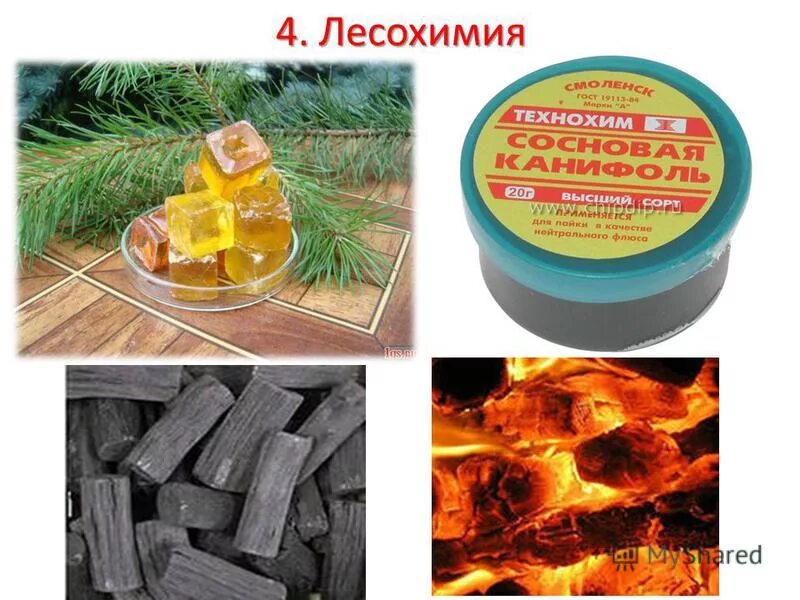 Лесохимия продукция. Какую продукцию выпускают предприятия лесохимической. Какую продукцию выпускают предприятия лесохимической. Переработка древесины лесохимия. Лесохимическая промышленность продукция.