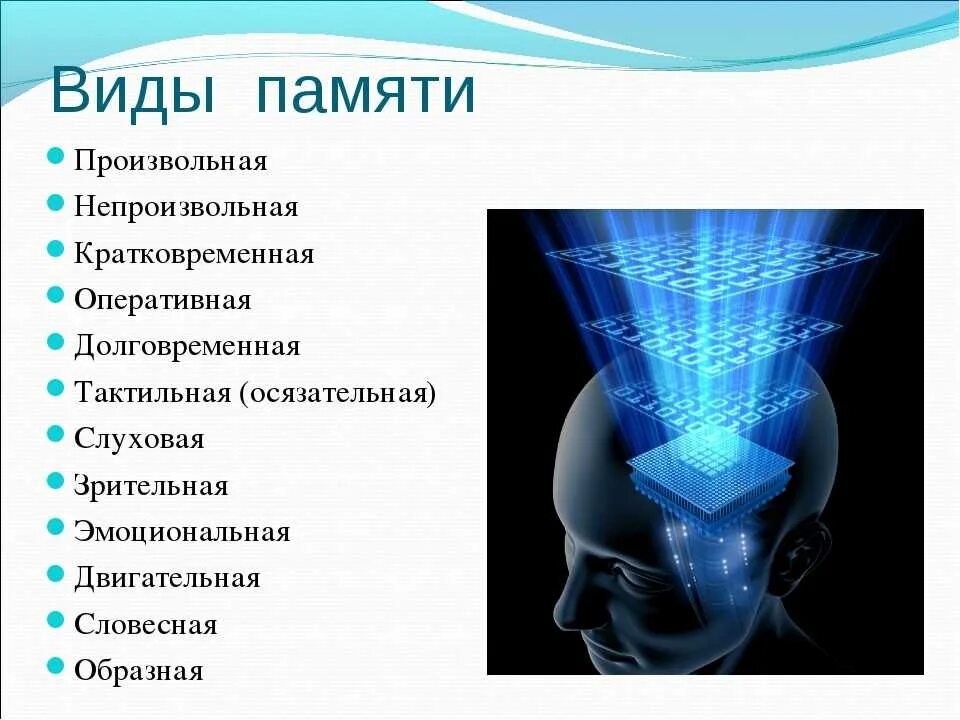 Память человека бывает. Виды памяти. виды памяти у человека. виды памяти человека в психологии. какие виды памяти существуют у человека.