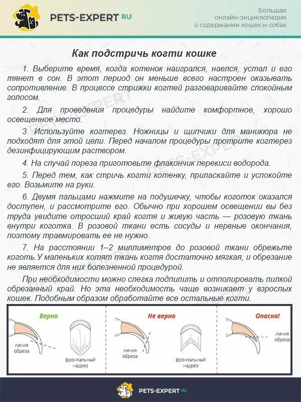 Как обрезать когти котенку. Как обрезать ногти кошке. Как подстригать когти коту специальными ножницами. Как стричь ногти коту.