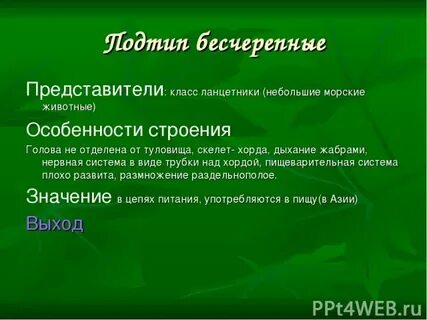 Биология 7 класс бесчерепные