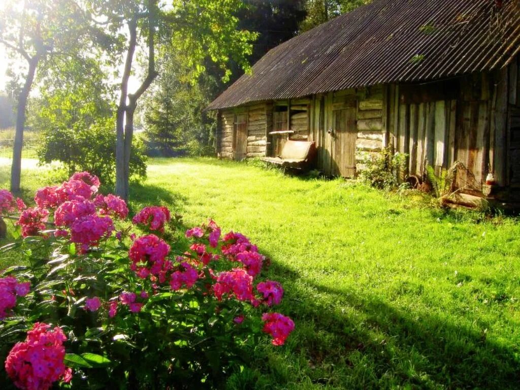 Природа деревня. Лето в деревне. Деревенская природа. Деревенский домик летом. В деревне летом 18