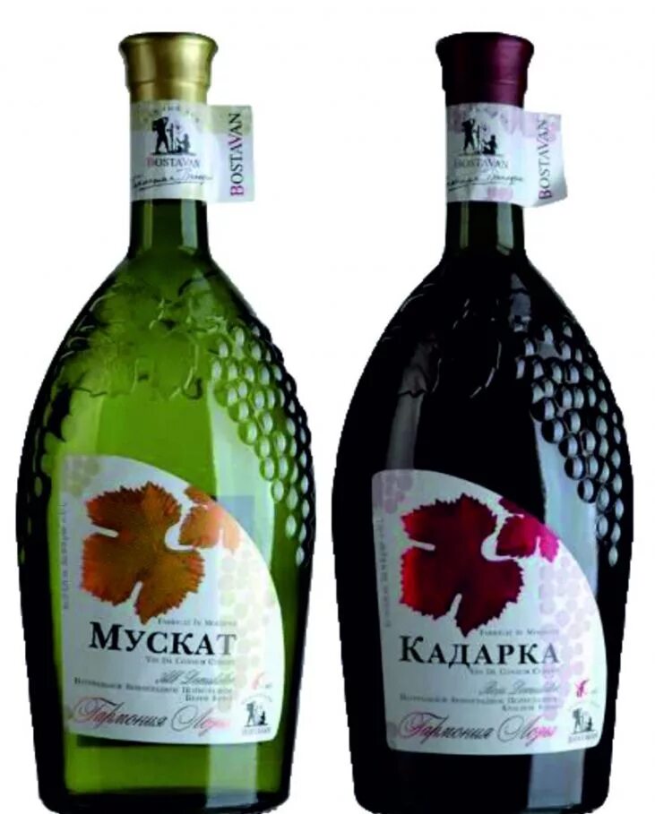 Купить вино на авито. Извораш вино Молдавии. Молдавские вина в Молдавии. Вино молдавское Роше. Хорошее молдавское вино.