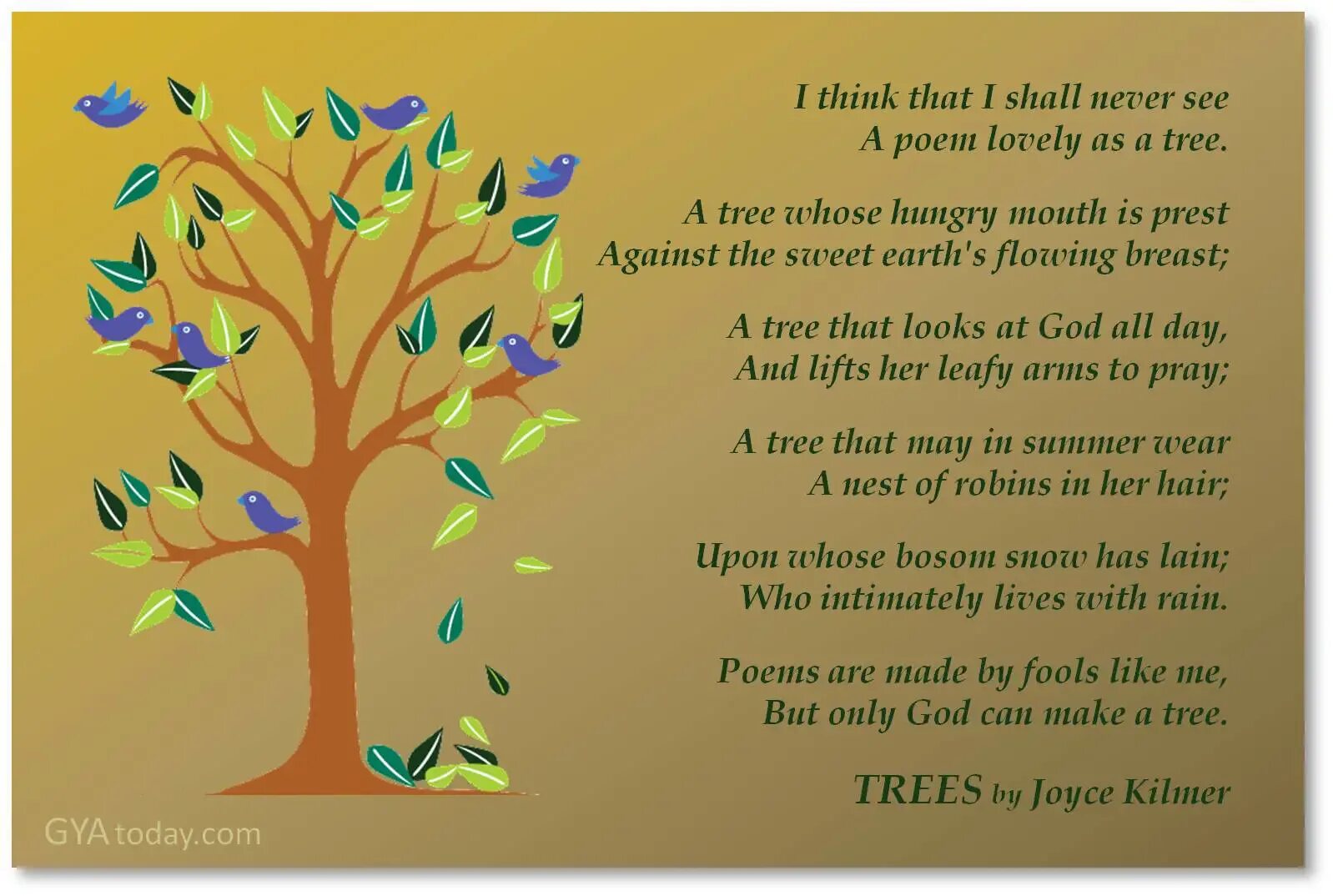 I see trees