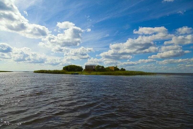 Сурская озеро. Реки озера воже. Озеро воже вологодская область фото. Озера воже и белое. Остров спасский озеро воже.