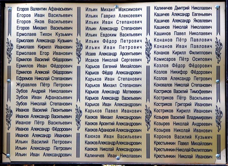 Книга памяти Вологодской области. Вологда книга памяти Великой Отечественной. Книга памяти Вожегодского района. Книга памяти села. Никольское книга памяти тосненского района ленинградской области