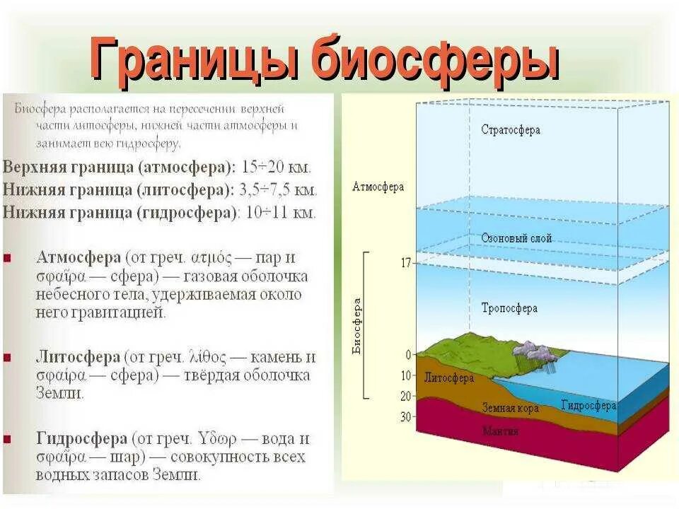 Биосфера т. Стратосфера атмосфера гидросфера. состав и границы биосферы. верхняя граница биосферы. биосфера оболочки земли таблица.