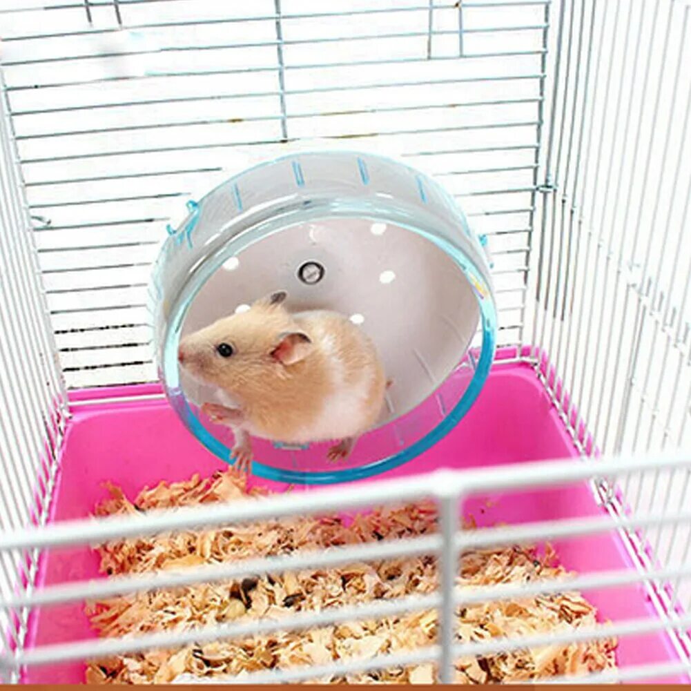 Pet hamster. Джунгарский хомячок клетка. Джунгарский хомяк хомяк клетка.