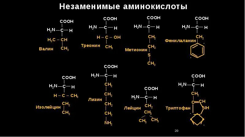 Незаменимые аминокислоты структурные формулы. Лизин треонин Валин. Структура незаменимых аминокислот. 8 Незаменимых аминокислот формулы. Состав радикалов аминокислот