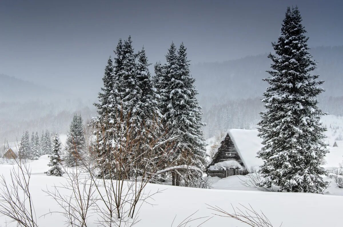 северная природа. деревня зимой панорама. сибирская тайга восточная сибирь зима. карелия ладога зимой. сибирь зимой.