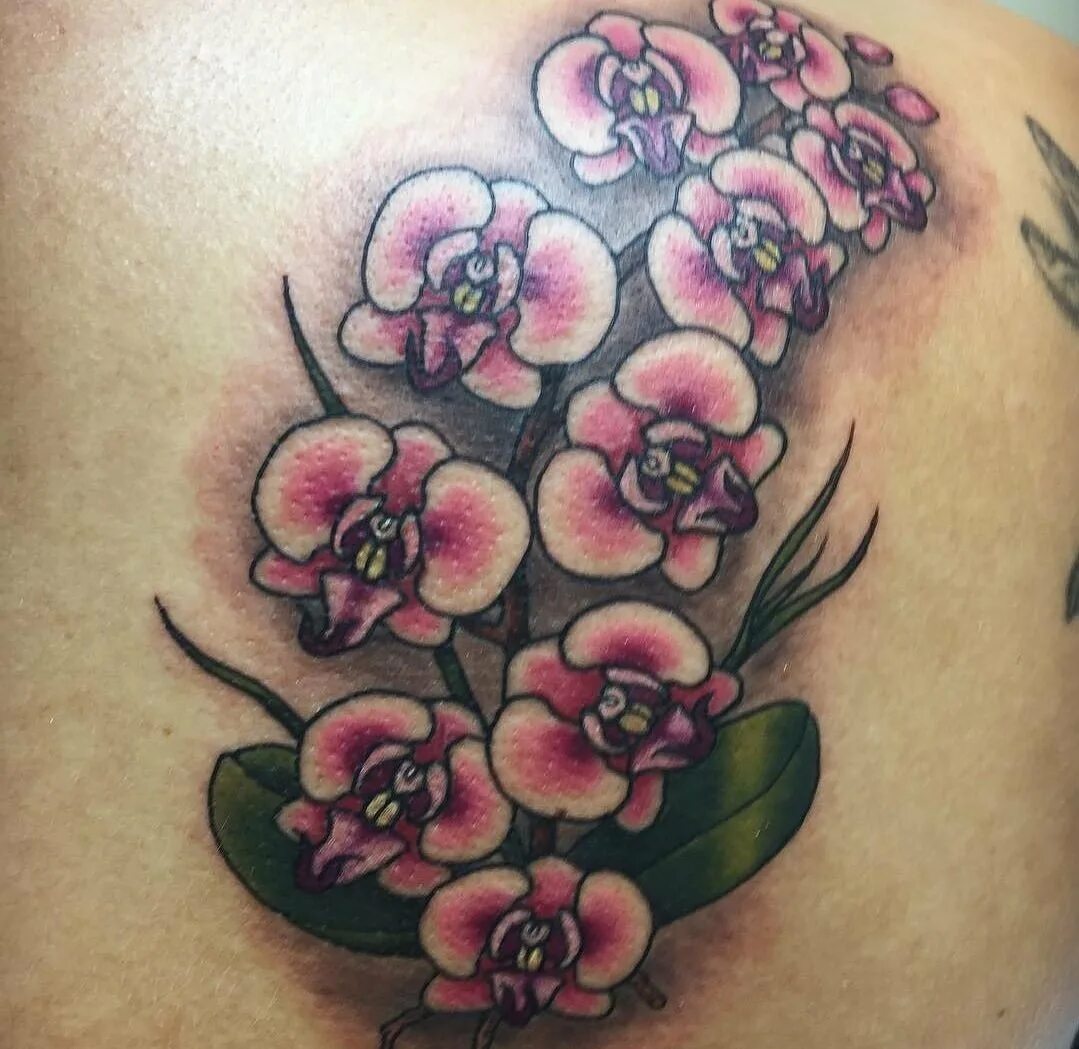 Тату орхидея на плече. Тату орхидея. Тата орхидс орхидеи. Тату орхидея цветная. Тату ветка орхидеи.