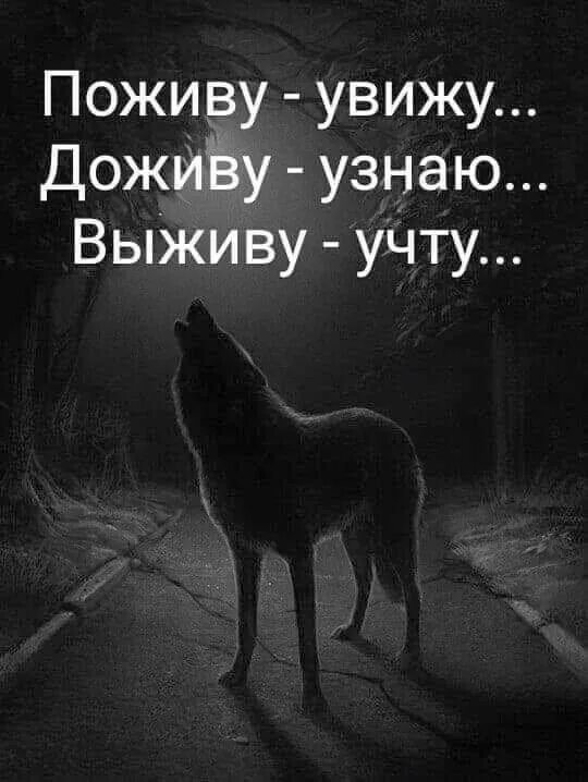 Поживу увижу доживу узнаю выживу. Поживу увижу доживу узнаю выживу учту. поживём увидим доживём узнаем выживем. поживу увижу доживу узнаю выживу учту картинки. доживём узнаем выживем учтём.
