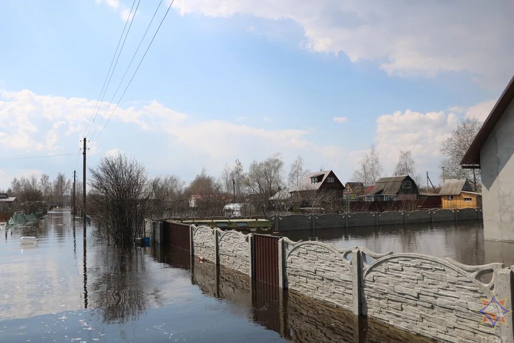 Уровень воды смоленск сож. СНТ Заречное Емельяновский район подтопление. Гомель затопило. СНТ Заречное Емельяновский район паводок. Уровень воды в реке СОЖ В Гомеле на сегодня.