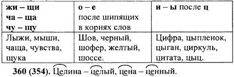 Русский язык пятый класс номер 359