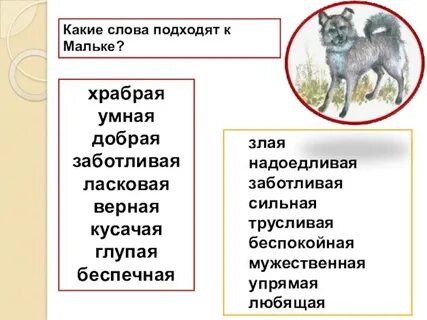 Какова главная мысль произведения малька