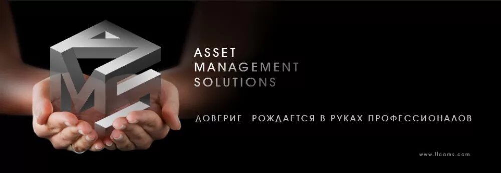 Эссет менеджмент. Asset management. asset management фото. «баланс эссет менеджмент эмблема. там asset management head.