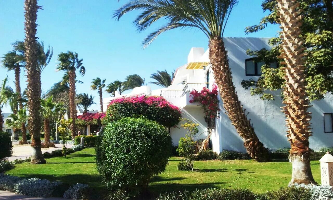 Lotus bay сафага. Lotus bay 4. Lotus bay beach resort 4 **** (сафага). Lotus bay 4. Лотус отель сафага египет.