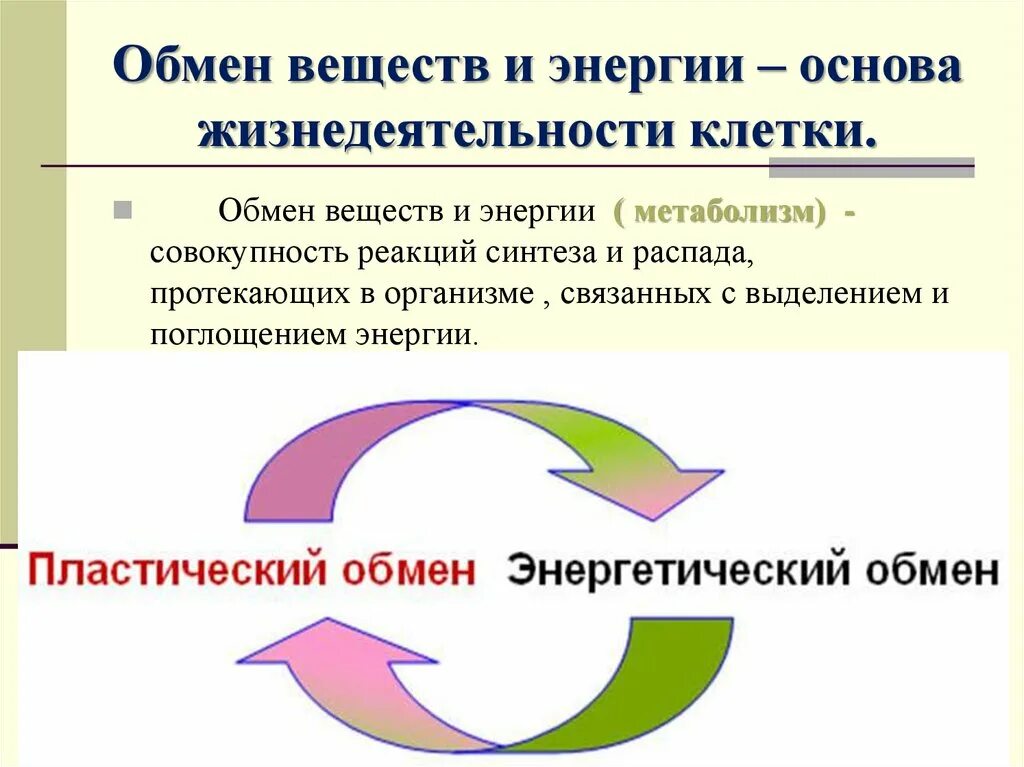 Выделение обмена веществ и энергии. Выделение обмена веществ и энергии