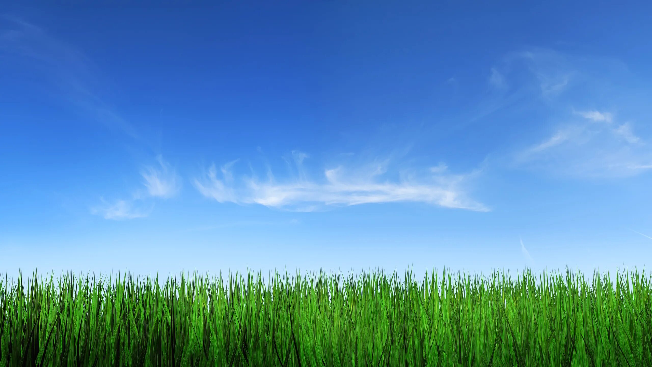 Background image source