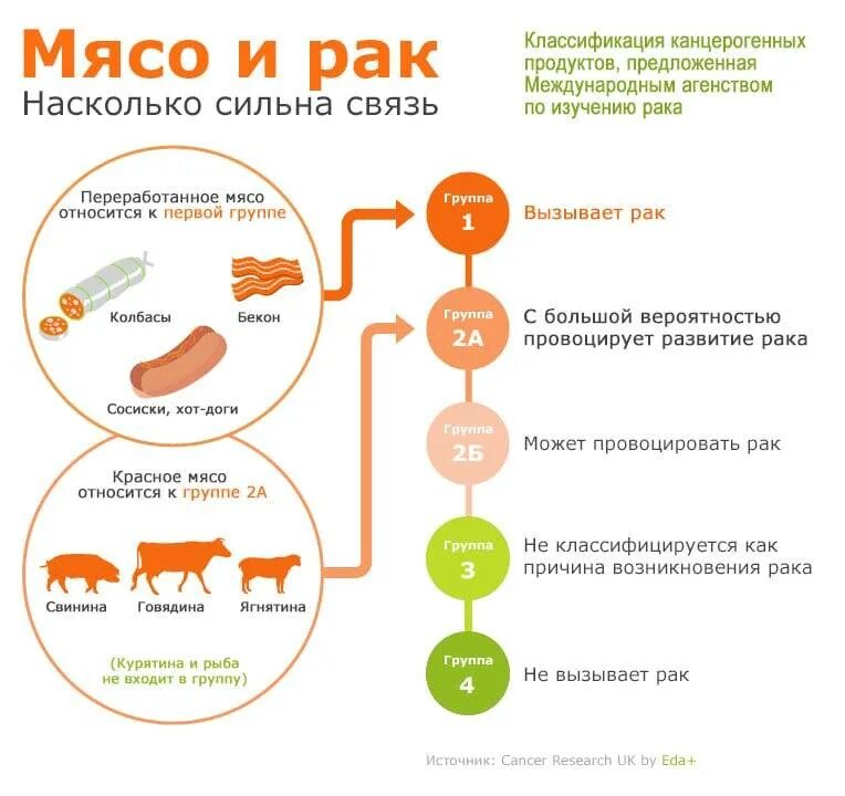 Можно ли человеку есть мясо