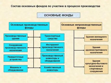 Магазин к какой сфере относится