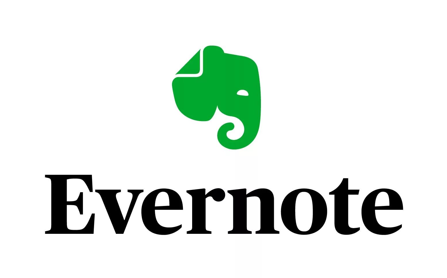 Evernote приложение. Ever note. Приложение слоник зеленый. Evernote на телефоне. Evernote.
